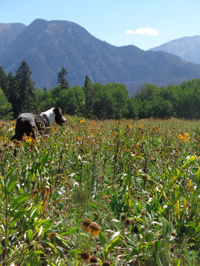 2014-09-02 22.57.12.jpg