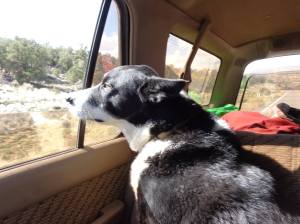 11136274_10204888873794756_3704977024337816675_o