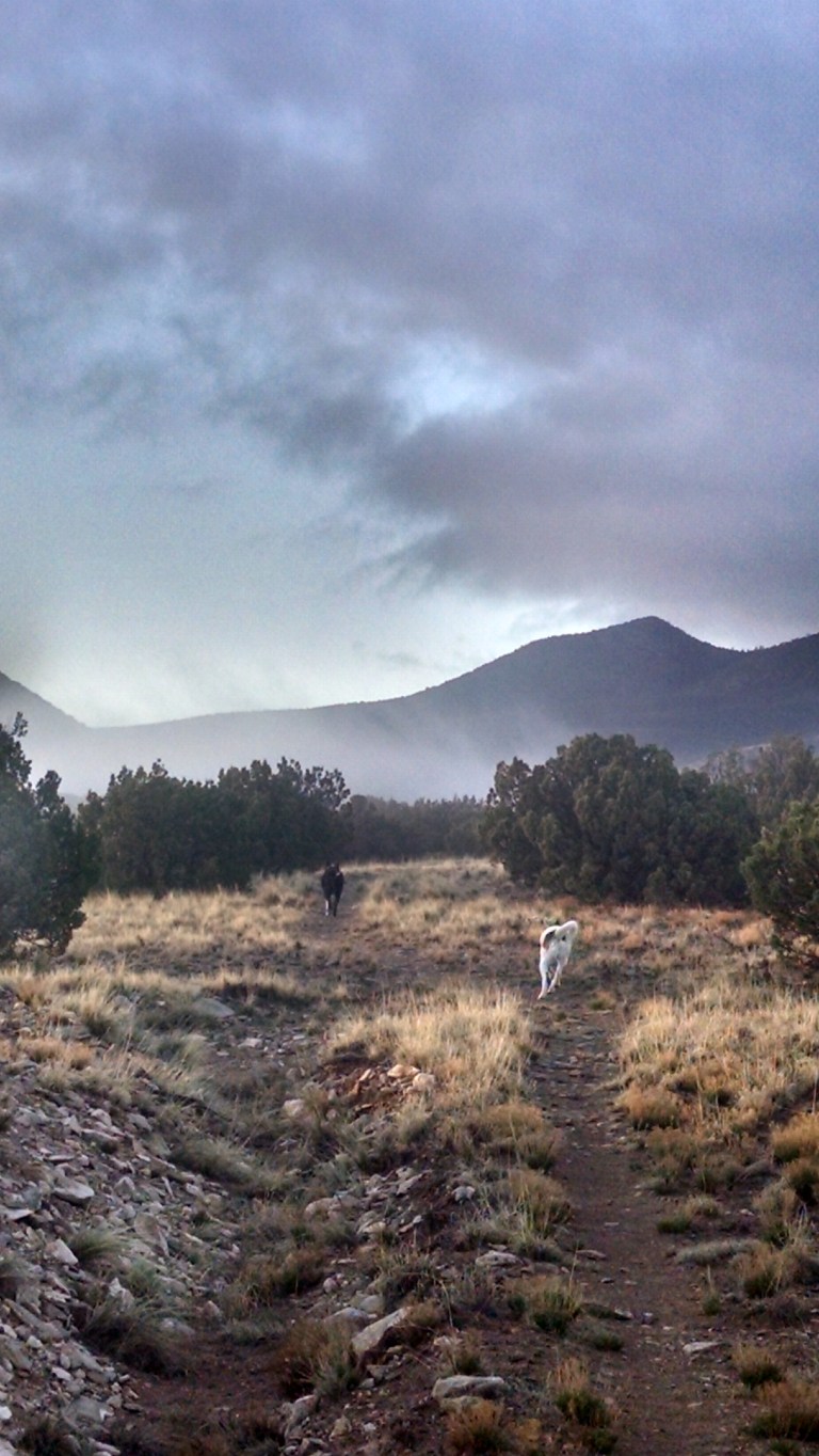 IMG_20160409_070711887_HDR