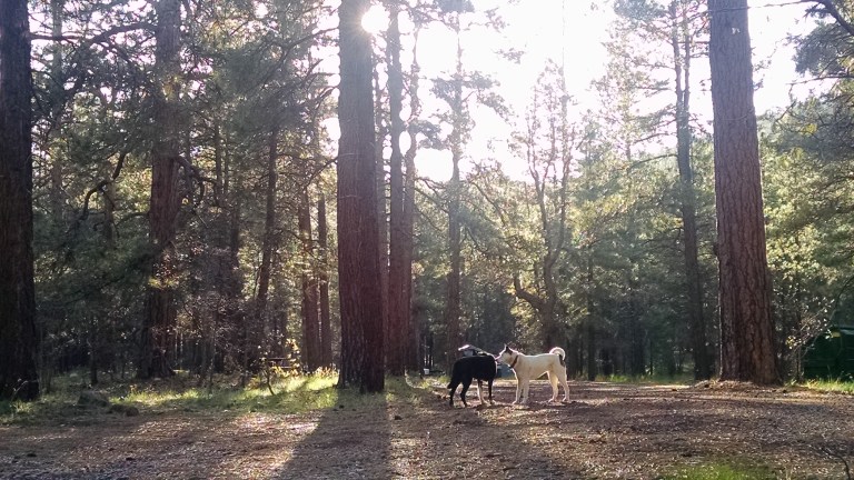 2016-05-22 17.44.57.jpg