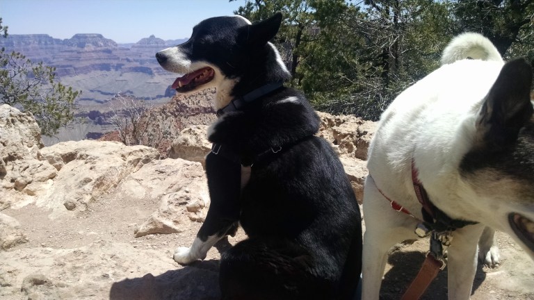 2016-05-23 11.48.19.jpg