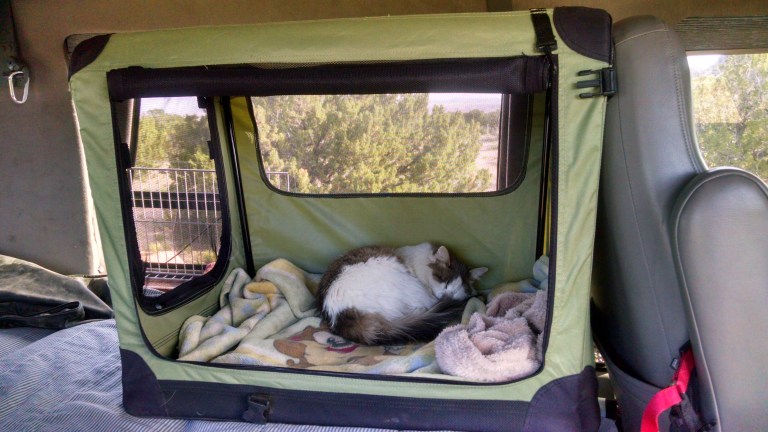 2016-05-29 08.13.51.jpg