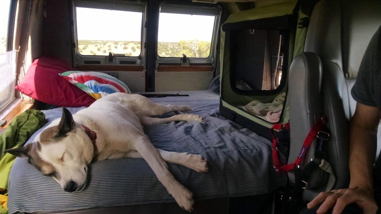 2016-05-29 10.01.49.jpg