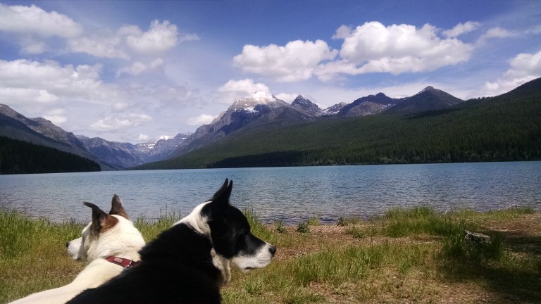 IMG_20160617_141328576