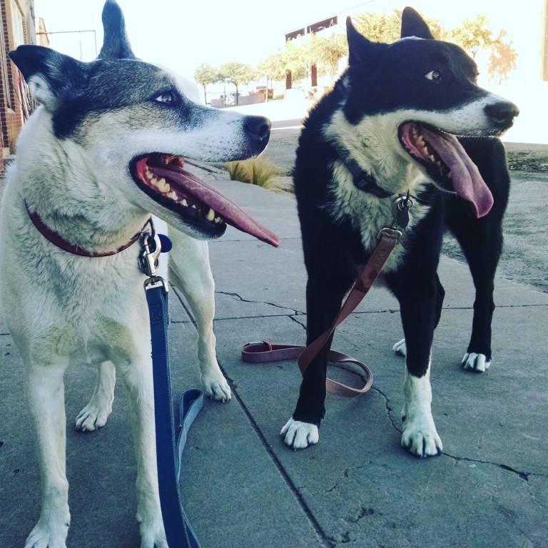 IMG_20170109_121348_598