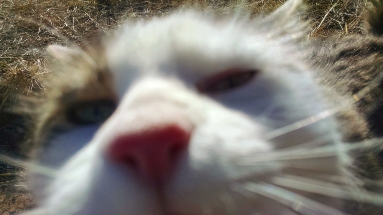 IMG_20170110_160933_371