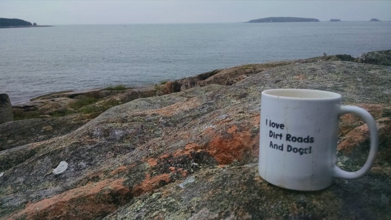 IMG_20170711_054205828