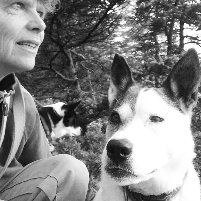 IMG_20170717_120931_085