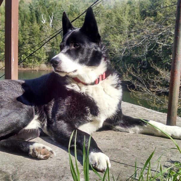 IMG_20180517_204905_832