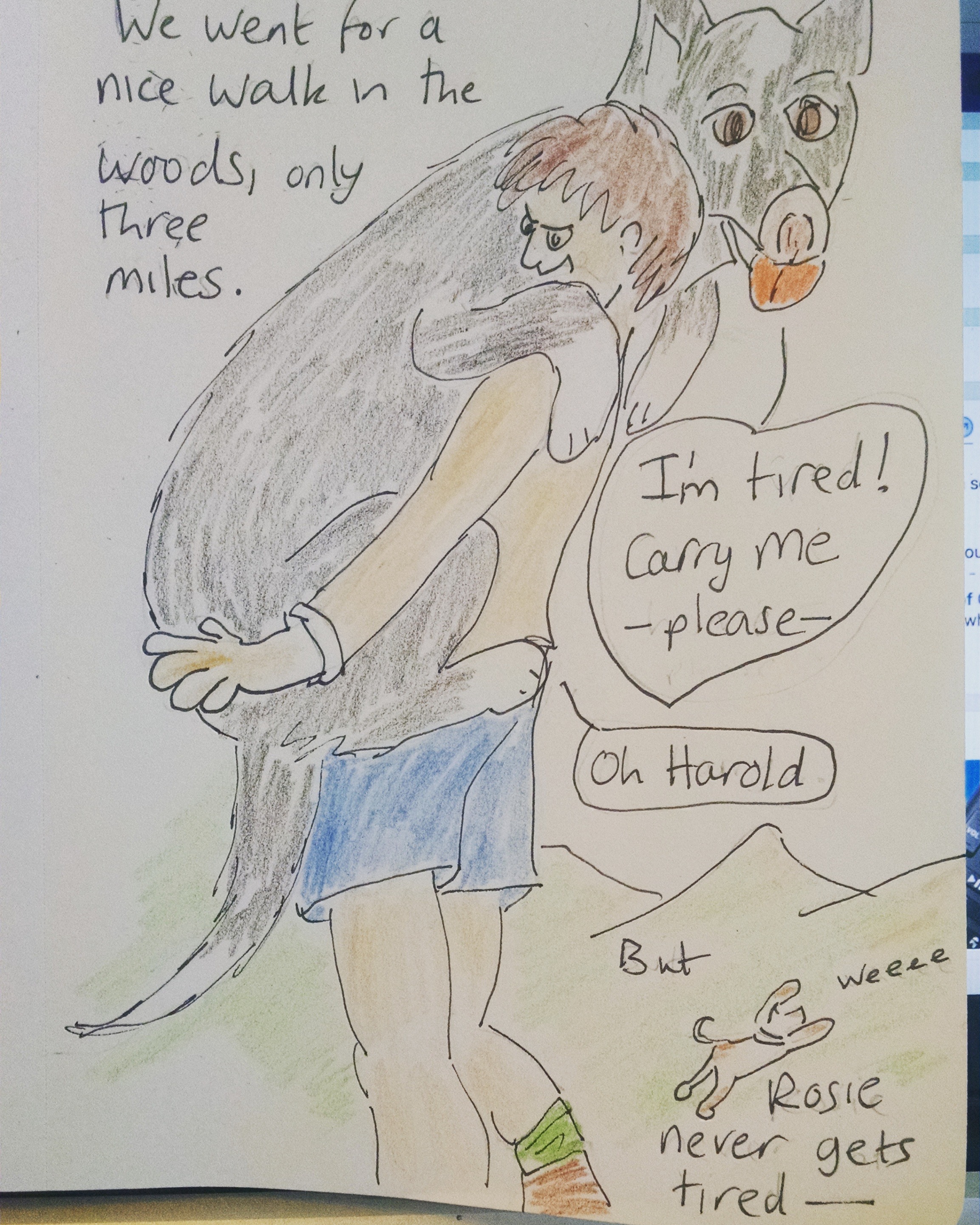 IMG_20171020_085622_375