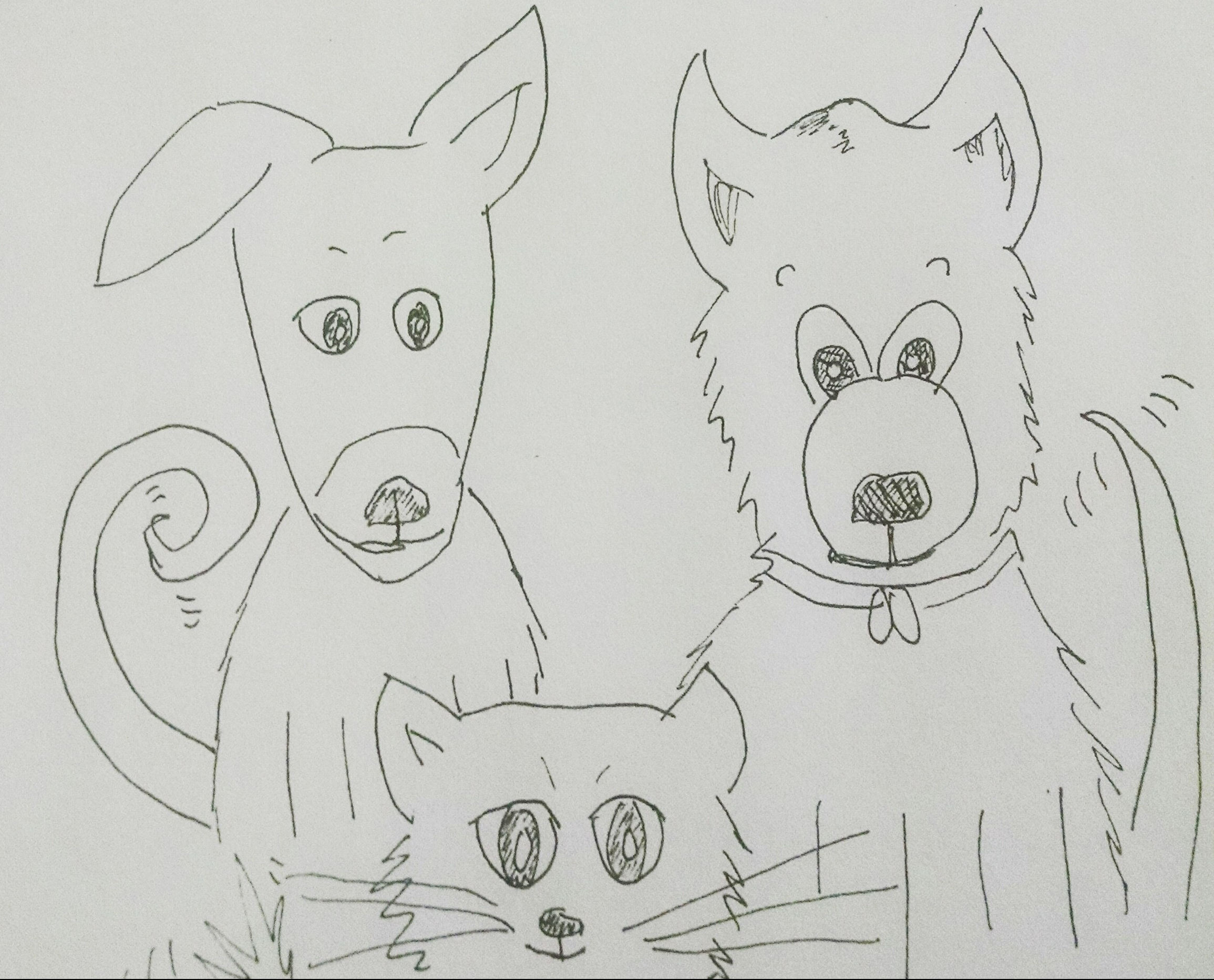 IMG_20180404_095416_454