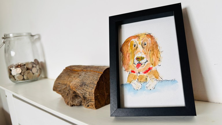 Sarah Leamy's custom dog portraits. 