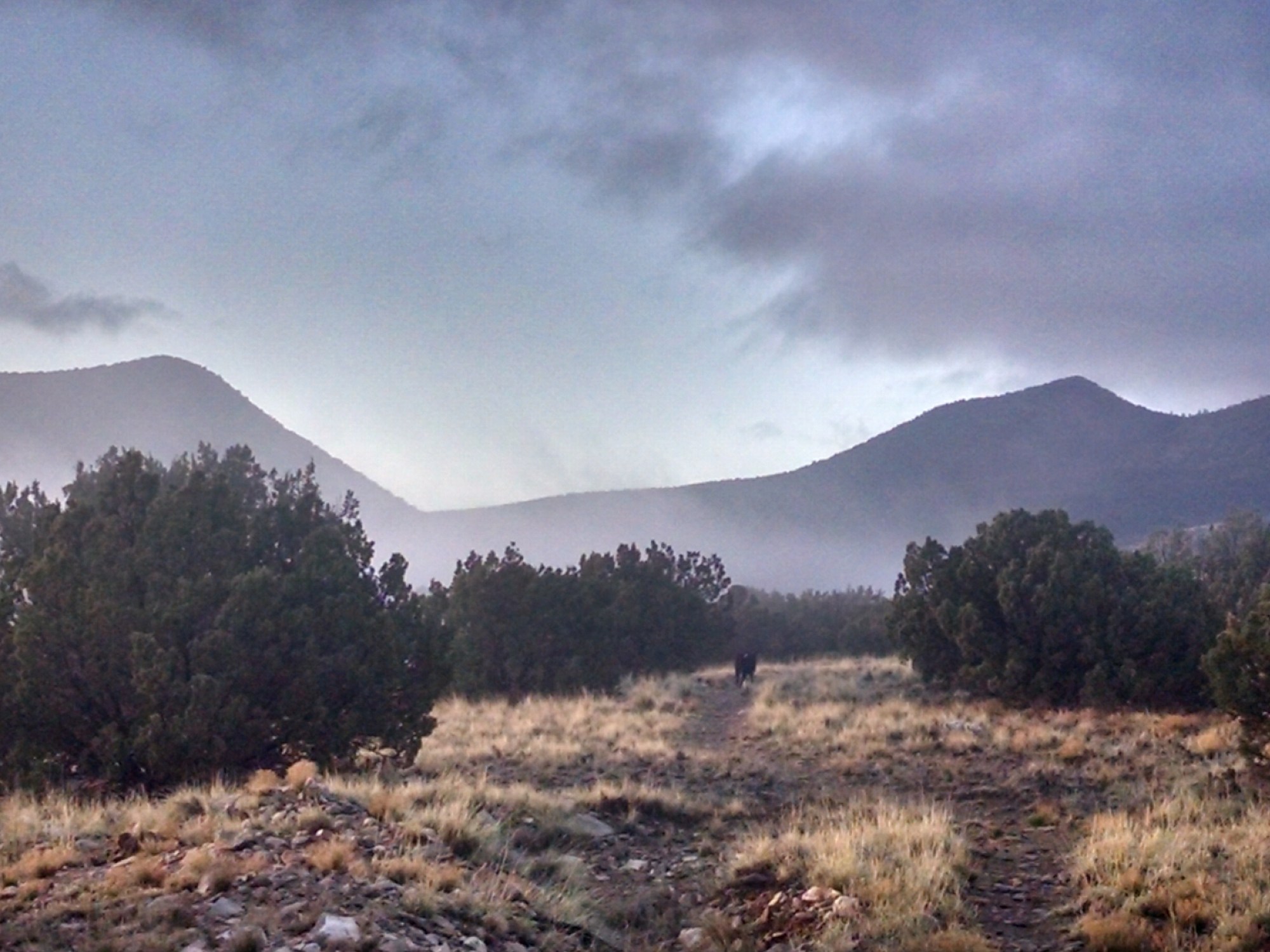 Sarah Leamy watercolor artist from New Mexico exploring belonging and creativity, coaching others to do the same.