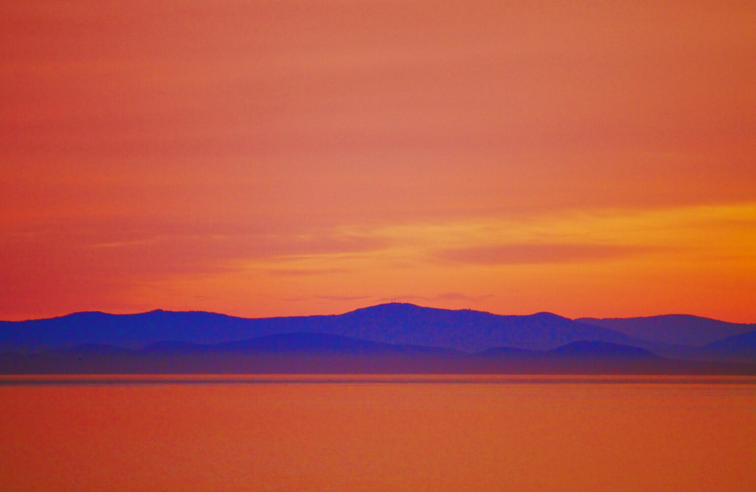 Sarah Leamy watercolor artist from New Mexico exploring belonging and creativity, coaching others to do the same.